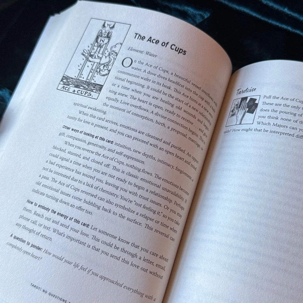 Tarot: No Questions Asked Book Mastering the Art of Intuitive Read Theresa Reed - Picture 9 of 14